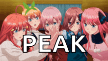 a group of anime girls are standing next to each other with the word peak written above them