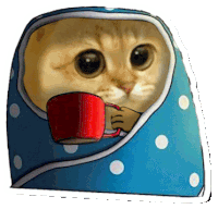 a cat is wrapped in a blanket and drinking from a red mug