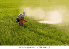 a man is spraying weed killer on a lush green field .