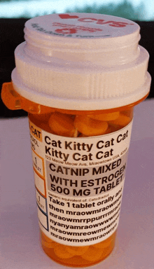 cat kitty cat kitty cat cat catnip mixed with estrogen 500mg tablet