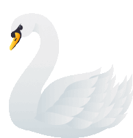 a white swan with a yellow beak and a black beak