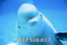 a dolphin with its eyes closed and the words deep subject below it