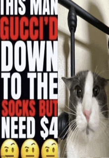 a cat next to a sign that says this man gucci 'd down to the socks but need $4