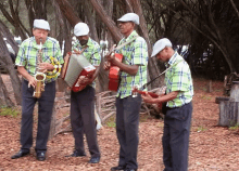 a group of men in plaid shirts are playing instruments in the woods