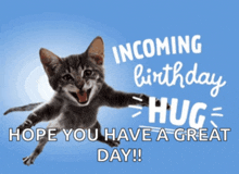 a picture of a cat with the words incoming birthday hug hope you have a great day on it