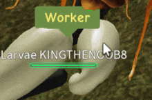 worker larvae kingthencob8 is the name of the worker in this video game