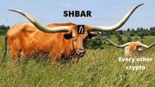 a bull with long horns is standing in a grassy field with a $ hbar logo on its head