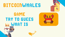 a poster that says bitcoinwhales game try to guess what is on it