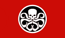 a black and white circle with a skull in the center on a red background