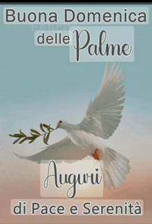 a picture of a dove with the words buona domenica delle palme auguri di pace e serenita on it