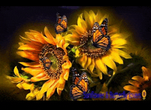 a painting of sunflowers and butterflies with the words sunflowers & butterflies lovers on the bottom