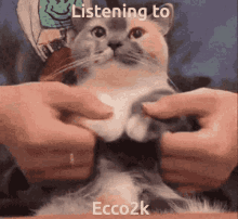 a cat is being squeezed by a person with the words listening to ecco2k written on the bottom .