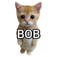 a sticker of a cat with bob written on it