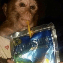 a monkey drinking from a bag with a straw .