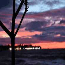 a tree is silhouetted against a sunset sky