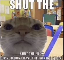 a cat is holding a talking stick in a classroom and says `` shut the fuck up you dont have the talking stick ''