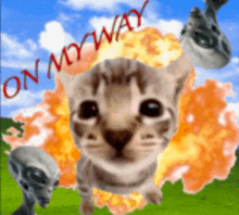 a picture of a cat with an explosion in the background and the words on my way written in red