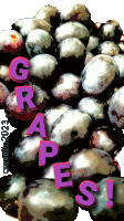 a bunch of grapes with the word grapes written on it