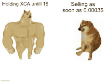 a meme of a doge holding xca until 1 dollar and selling as soon as 0.0003