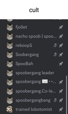 a screenshot of a chat with the word cult at the bottom