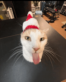 a cat wearing a santa hat with its tongue out