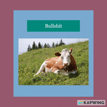 a picture of a cow laying down on a hill with the word bullshit above it