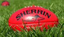 a red sherrin kangaroo brand soccer ball is sitting in the grass