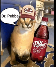 a cat is wearing a hat and standing next to a bottle of dr. pepper .