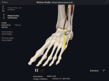 a skeleton of a foot is shown on a screen with the words motion mode at the top