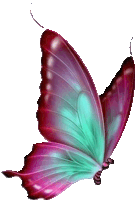 a pink and green butterfly is flying in the air