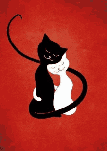 a black and white cat is hugging another cat on a red background .