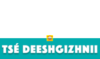 a blue sign that says ' tse deeshgizhnii ' on it