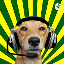 a dog wearing headphones with a microphone on a yellow and green background