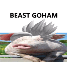 a picture of a pig with a ponytail and the words `` beast goham '' on it .