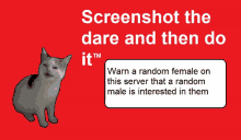 a screenshot the dare and then do it advertisement with a cat