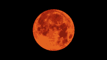 a full red moon against a black sky