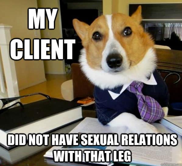 dog-lawyer