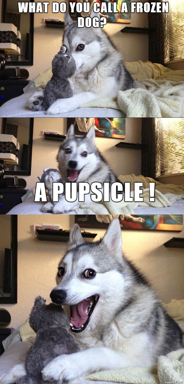 pun-dog-meme