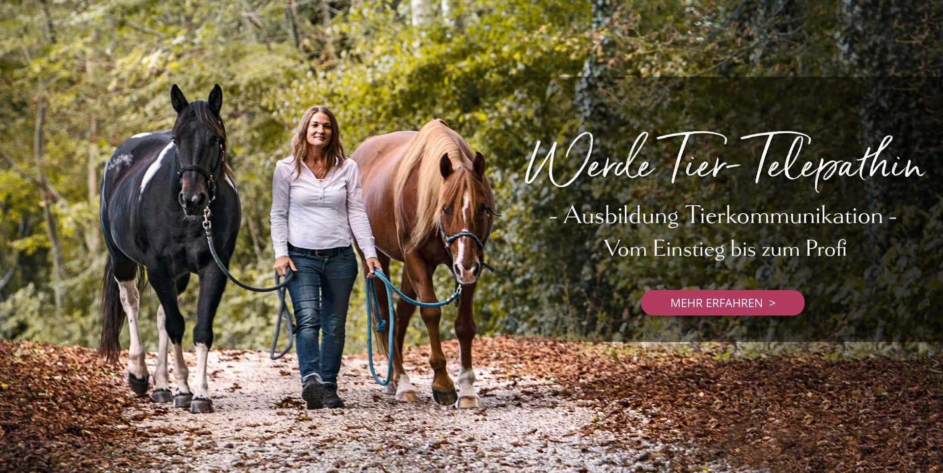 Tierkommunikation Ausbildung