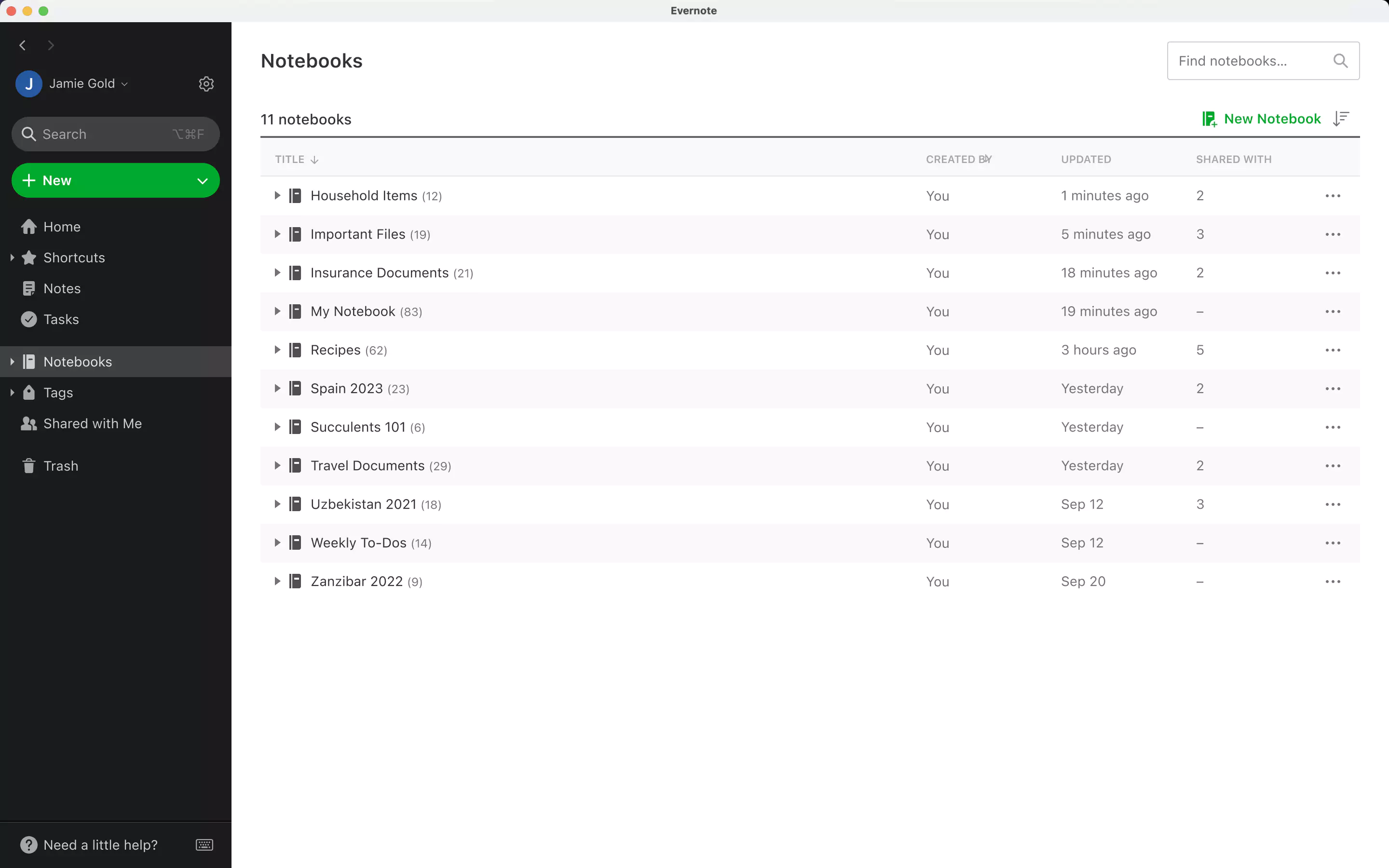 Old Evernote UI - Notebooks