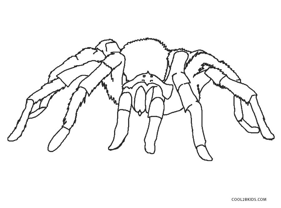 Ausmalbilder Spinne - Sternzeichenkrebsmann