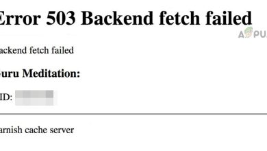 Error 503 Backend Fetch Failed