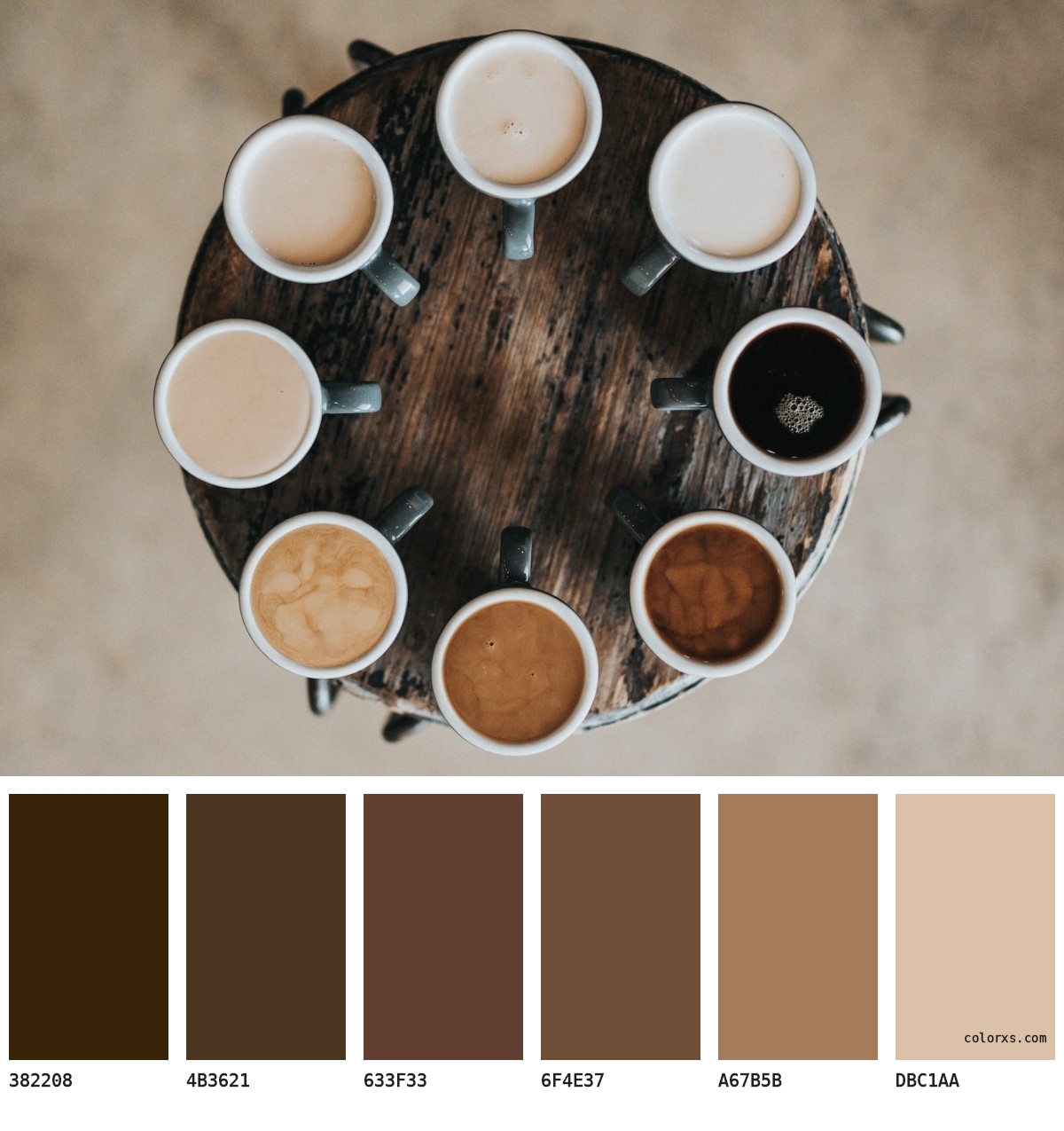 All colors of coffee - Coffee Color Palette