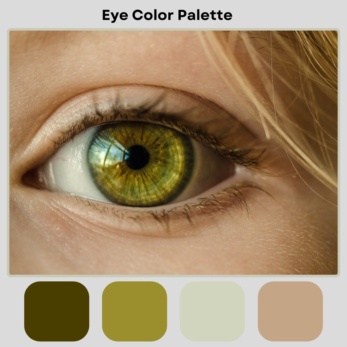 Eye Iris Look - Color Palette