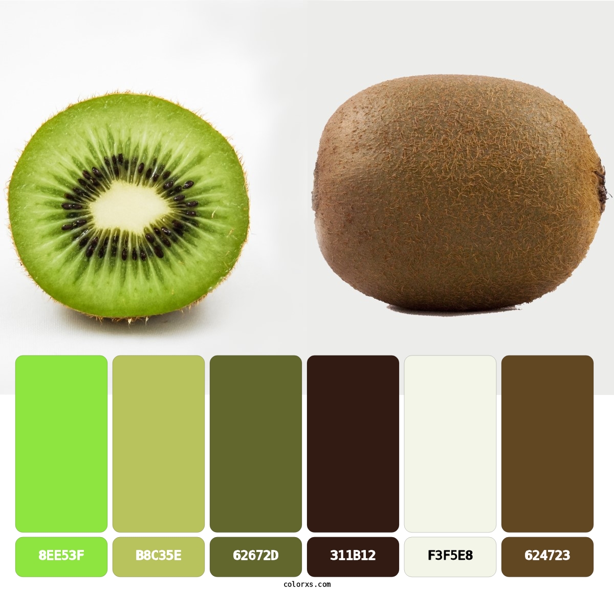 Kiwi fruit color palatte