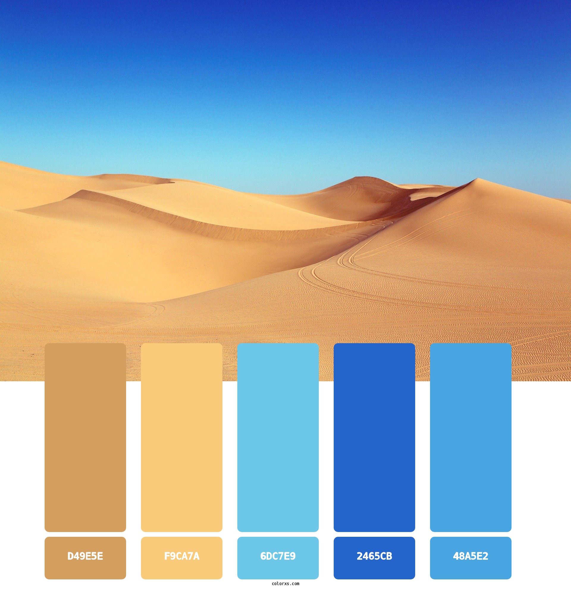 Desert Sand Dunes Color Palette 4