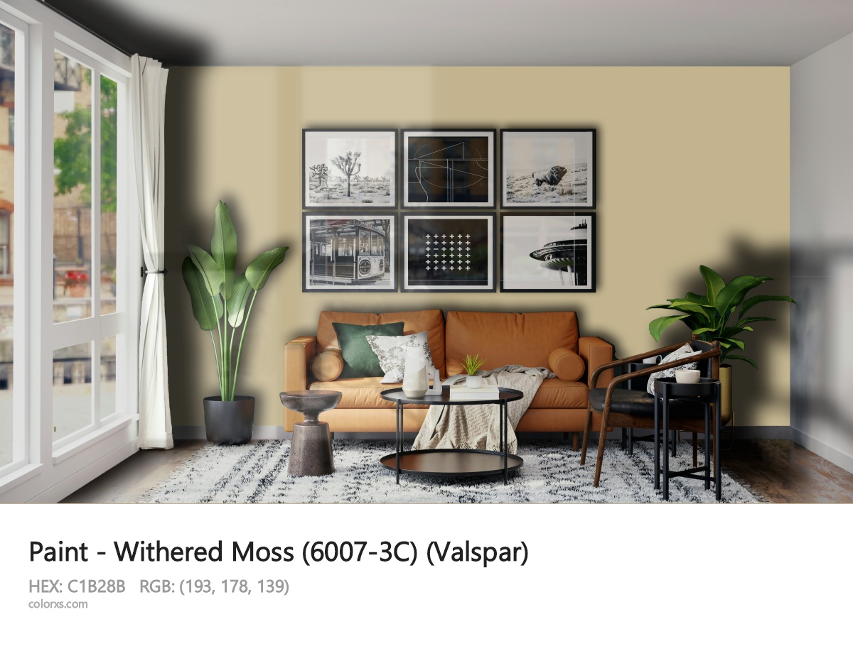 Valspar Withered Moss (6007-3C) Paint modern minimalist living room interior