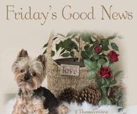 Friday Good News: Have A Great Weekend