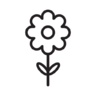 Blume Symbol