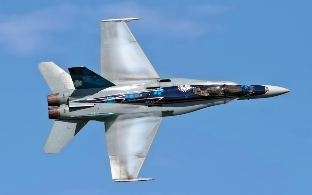 Mcdonnell Douglas F-18 Hornet